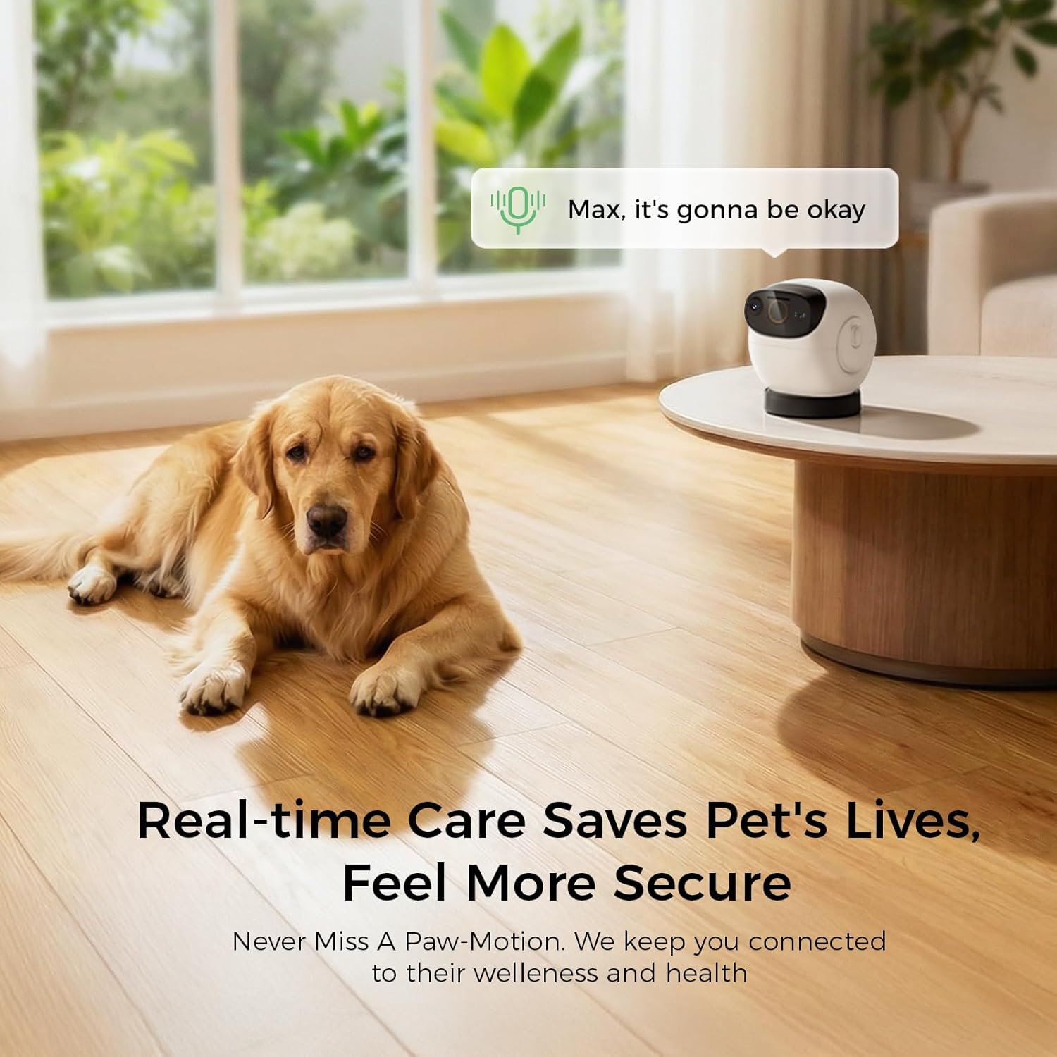 Robot M3 3K Pet Camera Treat Dispenser, Indoor Security Camera with 360° View, 32ft Treat Tossing, Barking Alerts