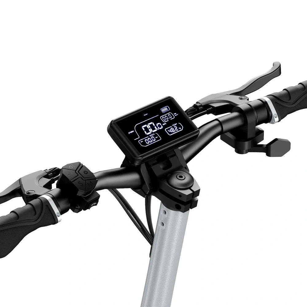 Raptor Pro Dual Motor Electric Scooter